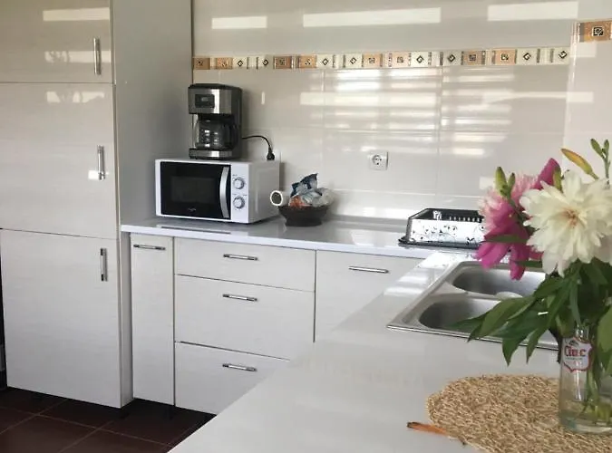 度假居 Garden 布拉索夫